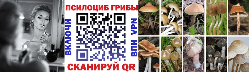 Галлюциногенные грибы прущие грибы  где купить наркоту  Зеленодольск 