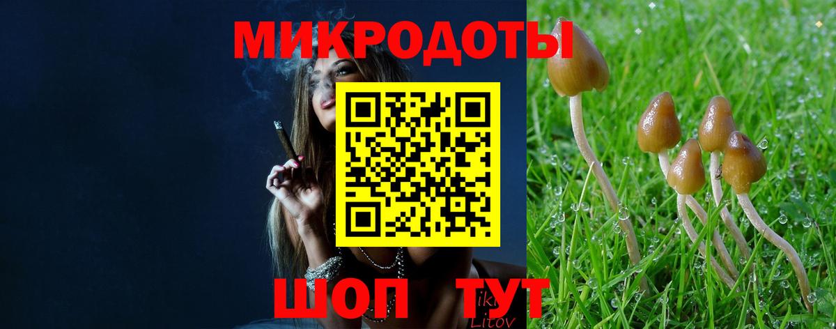 Псилоцибиновые грибы Cubensis Зеленодольск
